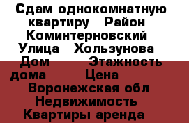 Сдам однокомнатную квартиру › Район ­ Коминтерновский › Улица ­ Хользунова › Дом ­ 12 › Этажность дома ­ 16 › Цена ­ 10 000 - Воронежская обл. Недвижимость » Квартиры аренда   